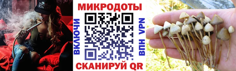 Псилоцибиновые грибы Cubensis  купить   Балашиха 