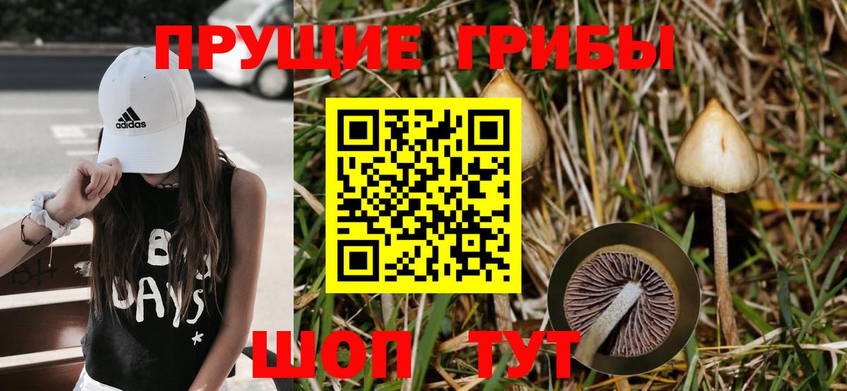 Галлюциногенные грибы Cubensis  Вход с VPN  Балашиха 