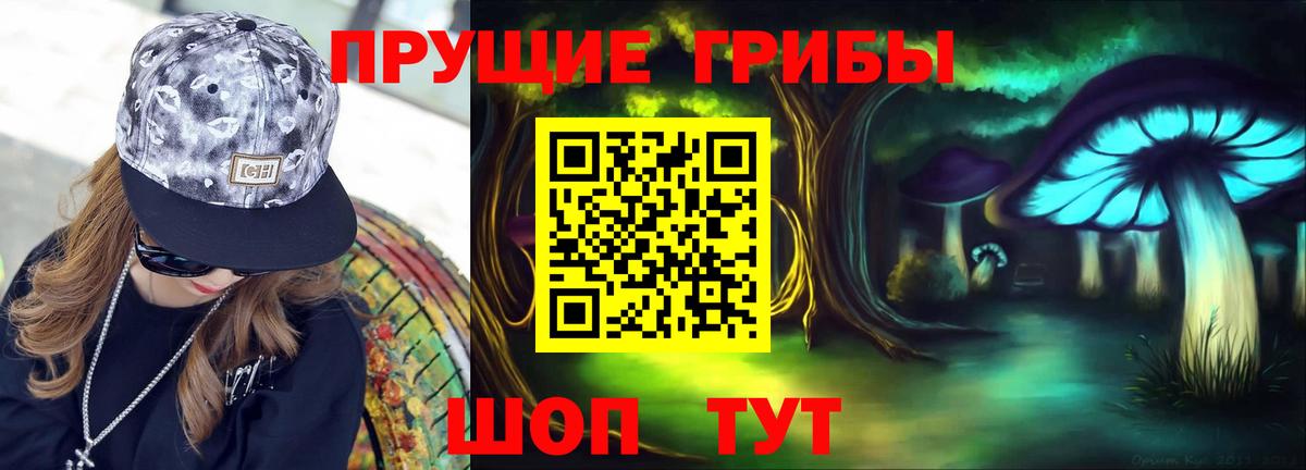 Псилоцибиновые грибы Cubensis Балашиха
