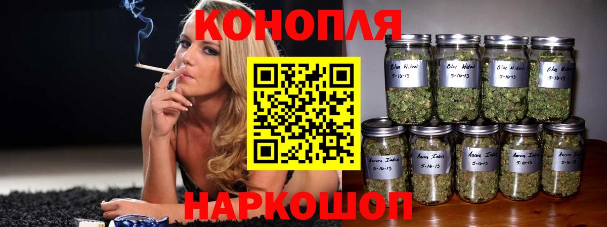 Бошки Шишки план Балашиха